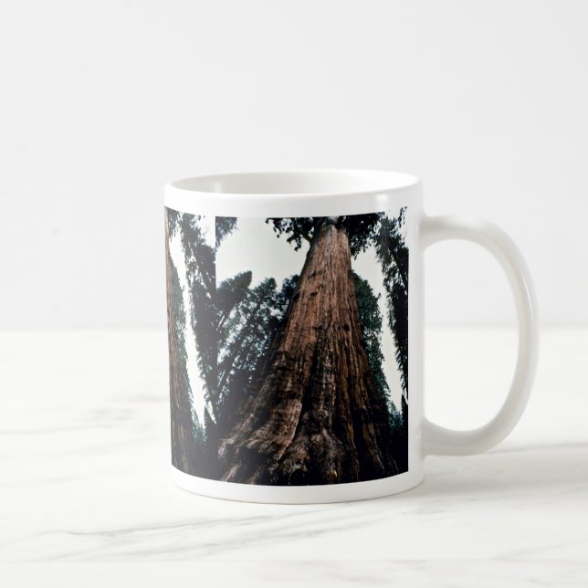 Caneca De Café Árvores gigantes - parque nacional de sequóia (Direita)