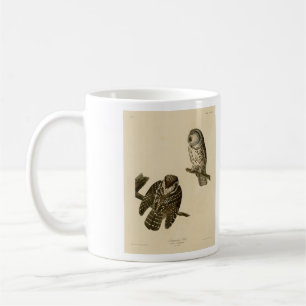 Caneca De Café As Aves da América de Coruja (Boreal) de Tengmalm