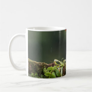Caneca De Café as aves são os únicos animais com penas 2