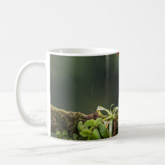 Caneca De Café as aves são os únicos animais com penas 2