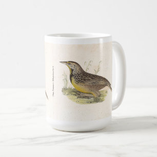 Caneca De Café As NY Aves (Sturnella magna)