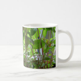 Caneca De Café As plantas mantêm-se crescer sementes