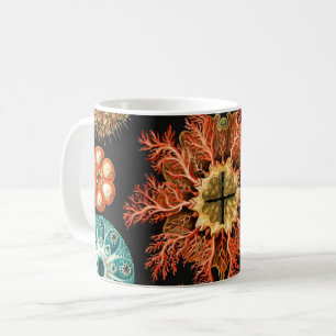 Caneca De Café Ascidiae, Seescheiden Vida Marinha por Ernst Haeck