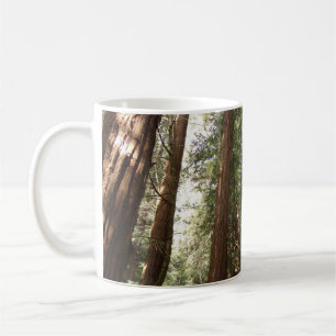 Caneca De Café Até às sequóias II no Monumento Nacional Muir Wood