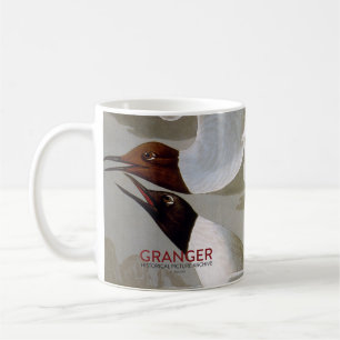 Caneca De Café Audubon: A gaivota de Bonaparte