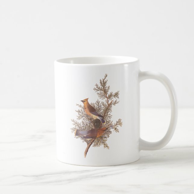 Caneca De Café Audubon Cedar Waxwing Bird (Direita)