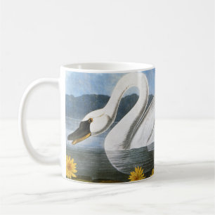 Caneca De Café Audubon: Cisne comum