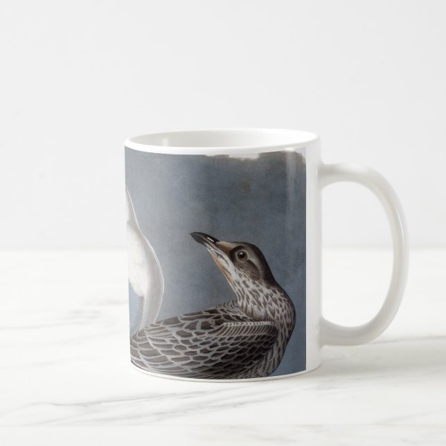 Caneca De Café Audubon: Gaivota Anel-Faturada (Direita)