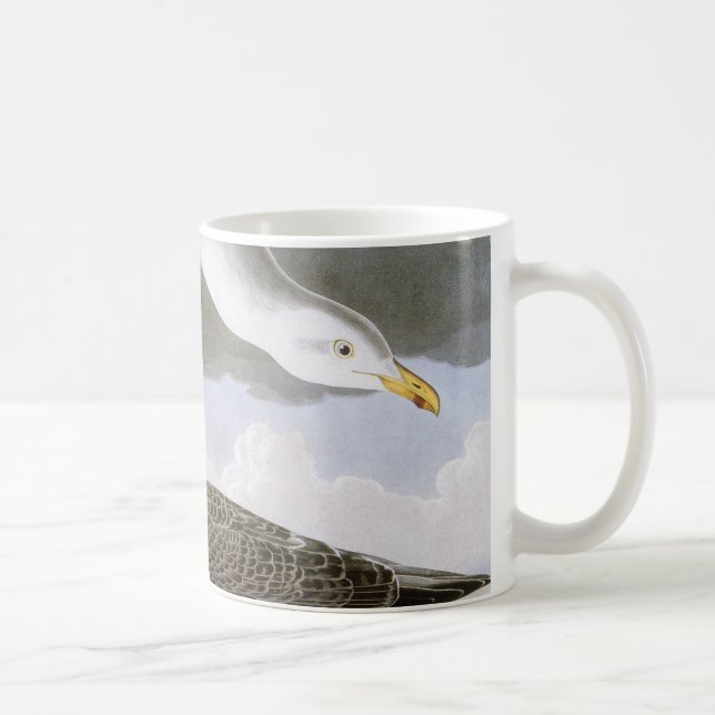 Caneca De Café Audubon: Gaivota de arenques (Direita)