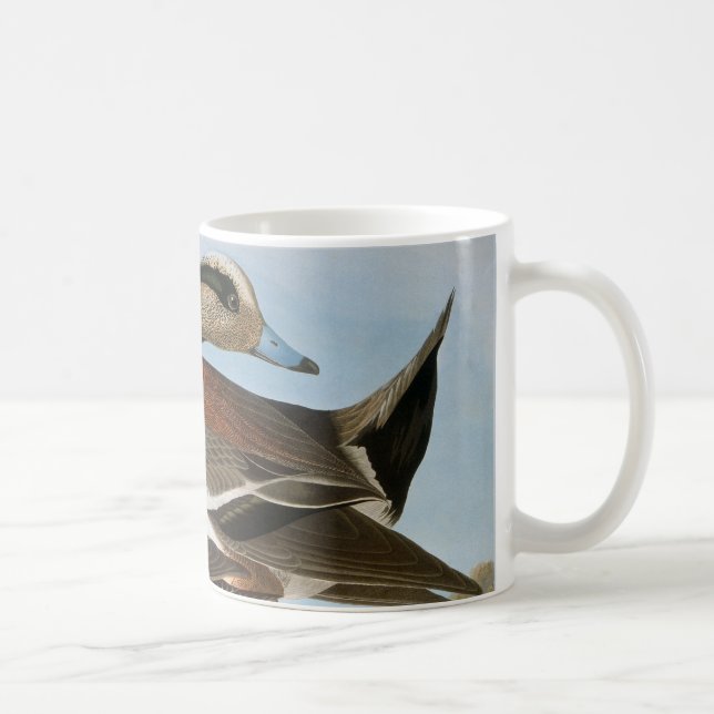 Caneca De Café Audubon: Wigeon (Direita)