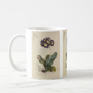 Caneca De Café Auricula por Paul Jerrard