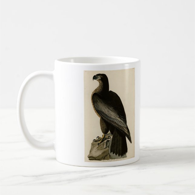 Caneca De Café Ave de Washington das Aves da América de Audubon (Esquerda)