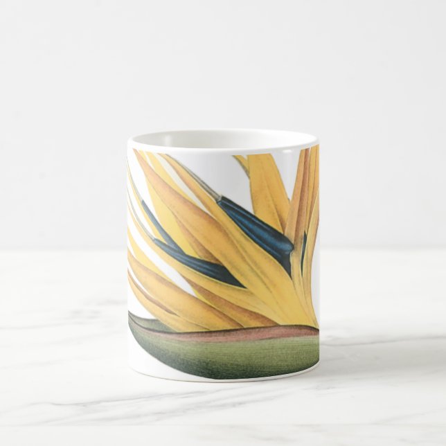 Caneca De Café ave-do-paraíso (Strelitzia reginae) por Redouté (Centro)
