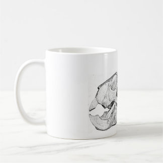 Caneca De Café Aye Skull Café Mug