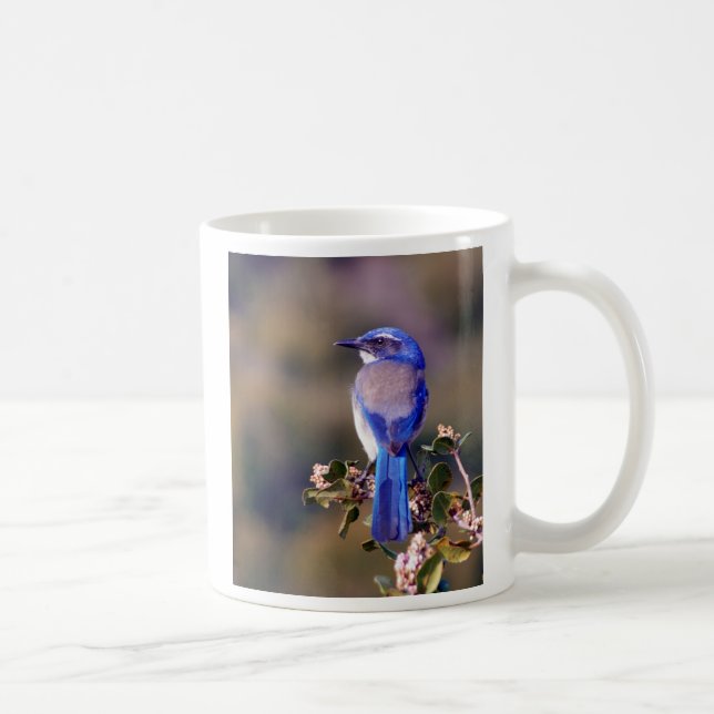 Caneca De Café Azul de Califórnia (Direita)