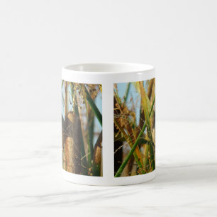 Caneca De Café B3 Marsh Wren