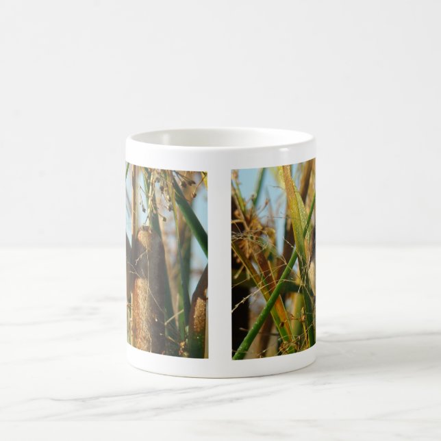 Caneca De Café B3 Marsh Wren (Centro)