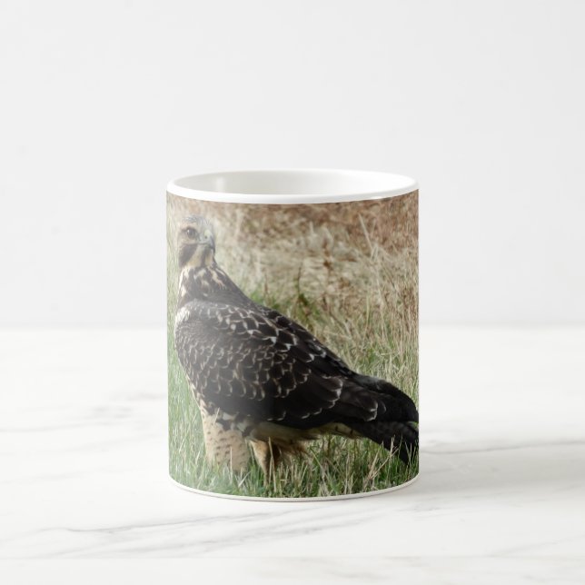 Caneca De Café B52 Swainson's Hawk (Centro)