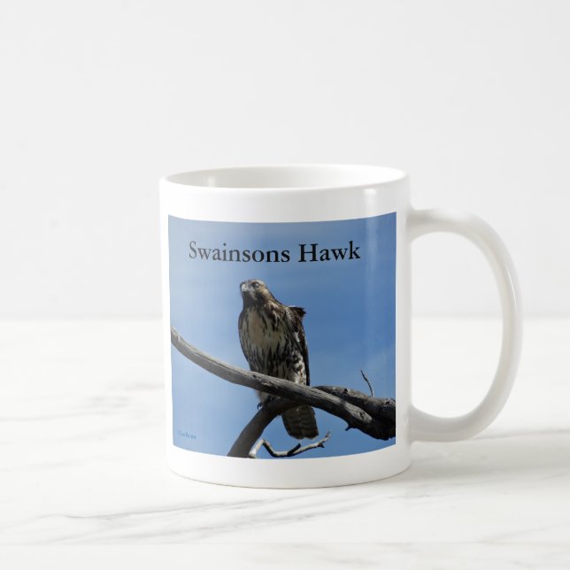 Caneca De Café B54 Hawk de Swainson (Direita)