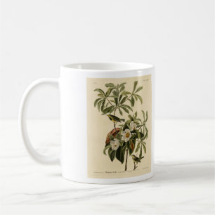 Caneca De Café Bachman's Warbler, das Aves da América de Audubon