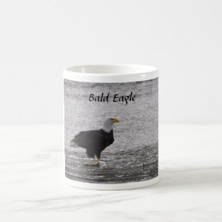 Caneca De Café Bald Eagle sobre Salmão