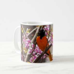Caneca De Café Baltimore Oriole