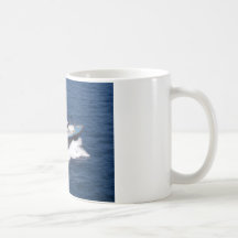 Barco piloto na velocidade