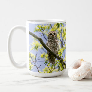 Caneca De Café Barred Owl