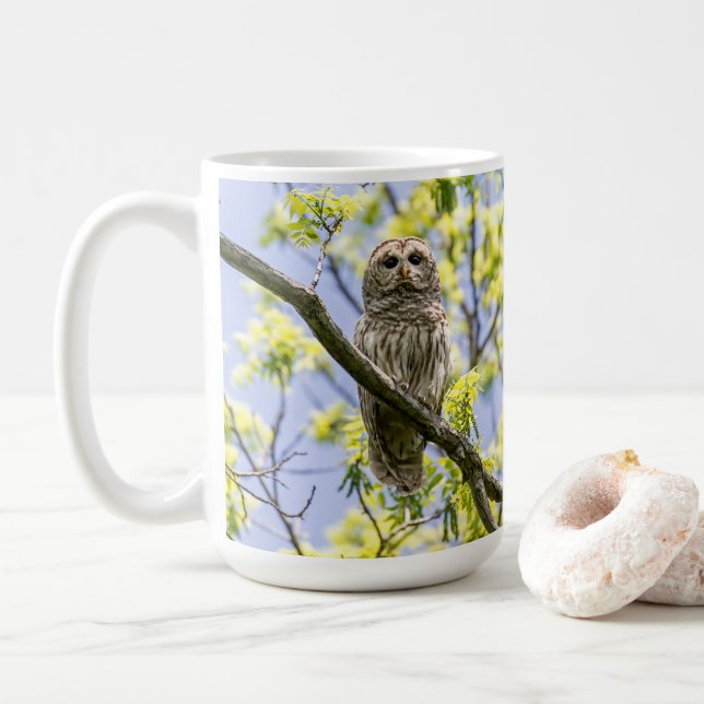 Caneca De Café Barred Owl (Com Donut)