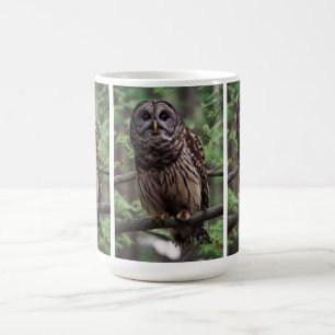 Caneca De Café Barred Owl