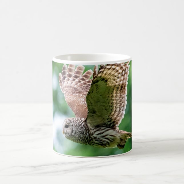 Caneca De Café Barred Owl em voo (Centro)
