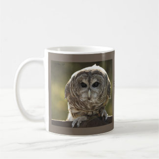 Caneca De Café Barred Owl Mug