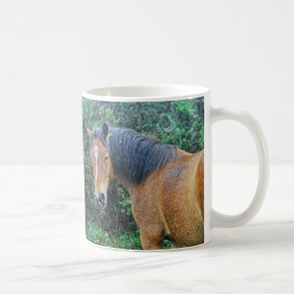 Caneca De Café Bay New Forest Pony de Hampshire, Inglaterra