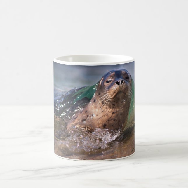 Caneca De Café Bebê Foca-do-porto (Centro)