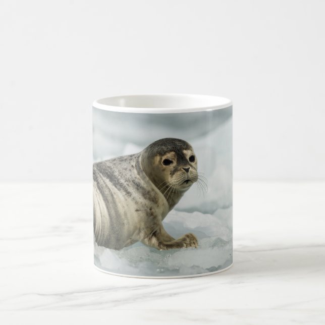 Caneca De Café Bebê Foca Preciosa (Centro)