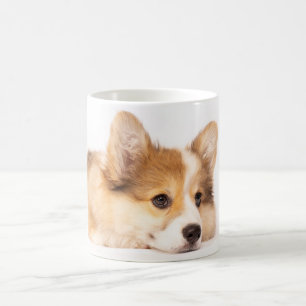 Caneca De Café Bebês Mais Pobres   Baby Corgi Puppy Portraje