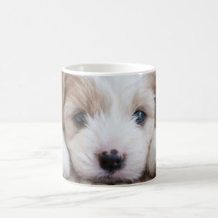 Caneca De Café Bebês Mais Pobres   Cavashon Puppy
