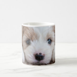 Caneca De Café Bebês Mais Pobres | Cavashon Puppy