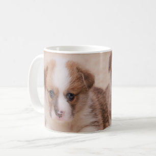 Caneca De Café Bebês Mais Pobres   Duas Estuppias De Corgi