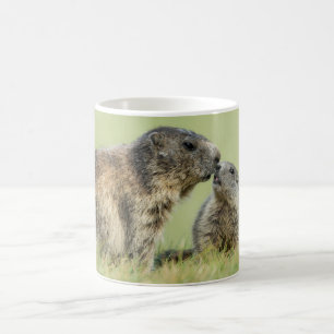 Caneca De Café Bebês Mais Pobres Família Marmot Alpina