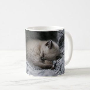 Caneca De Café Bebês Mais Pobres   Pequeno Gato Dormindo