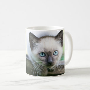 Caneca De Café Bebês Mais Pobres   Siamese Kitten 2