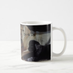 Caneca De Café Bebida acima