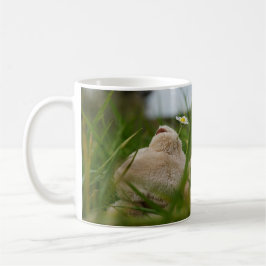 Caneca De Café Beer relaxt in natuur met Hollandse molen.