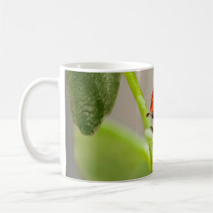 Caneca De Café Beijando Damybugs