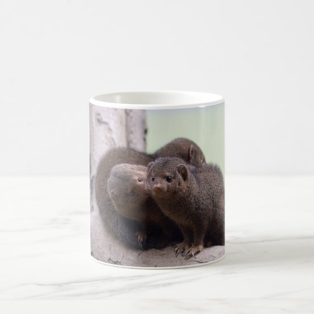 Caneca De Café Beijo do mangusto do anão (Centro)