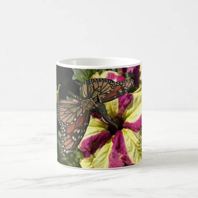 Caneca De Café Bela Borboleta Elefante (Centro)