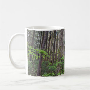 Caneca De Café Bela floresta tropical
