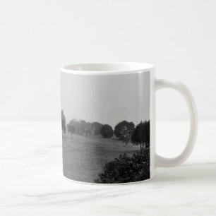 Caneca De Café Belas árvores e natureza no nevoeiro