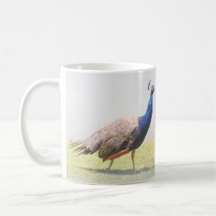 Caneca De Café Belas Aves de Pássaro Peacock